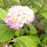 Спасибо за обмен!