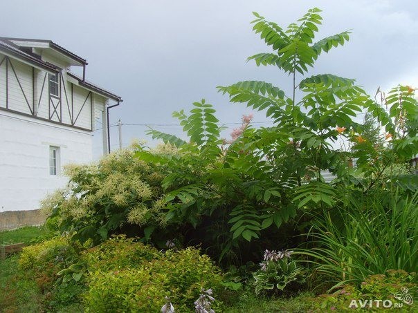 Продам дачу 7 млн.
