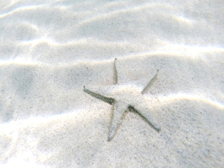 Кипр, свадьба подруги... или просто незабываемый отпуск