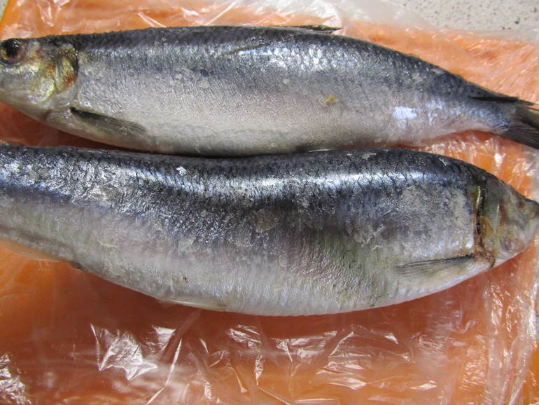 Сельдь домашнего, пряного посола со смородиновым соусом