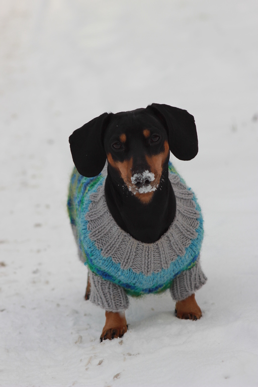 Наша любимка!!!