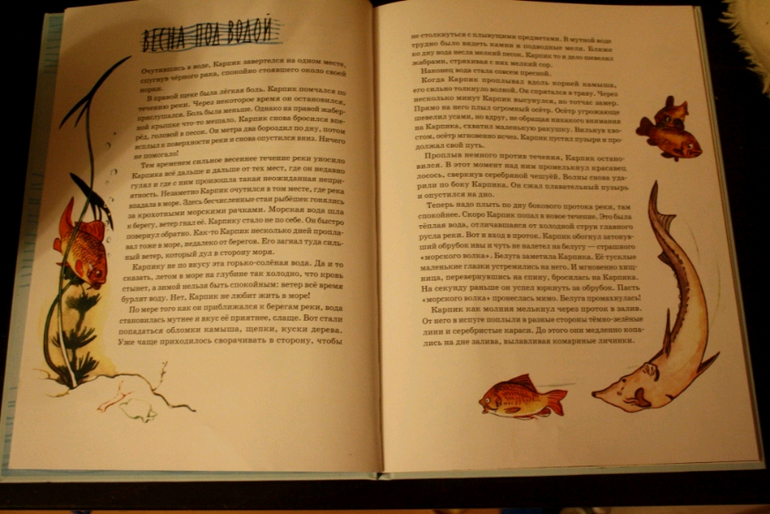 Приключение карпика