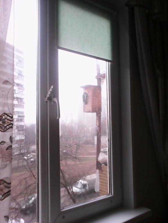 жители балкона