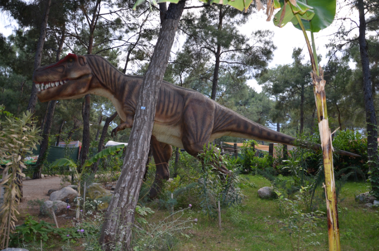 Экскурсии Турция в Кемер, Анталию, Динопарк, и Тахталы