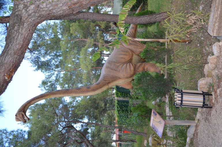 Экскурсии Турция в Кемер, Анталию, Динопарк, и Тахталы