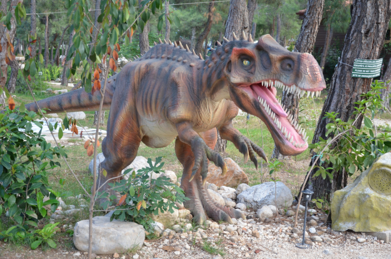 Экскурсии Турция в Кемер, Анталию, Динопарк, и Тахталы