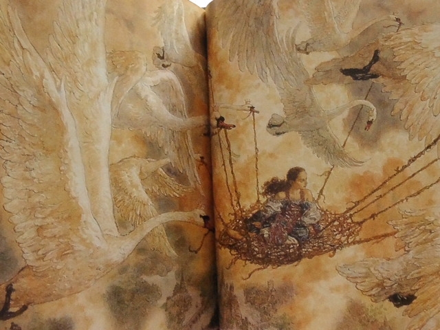 плюс в книжные рядочки