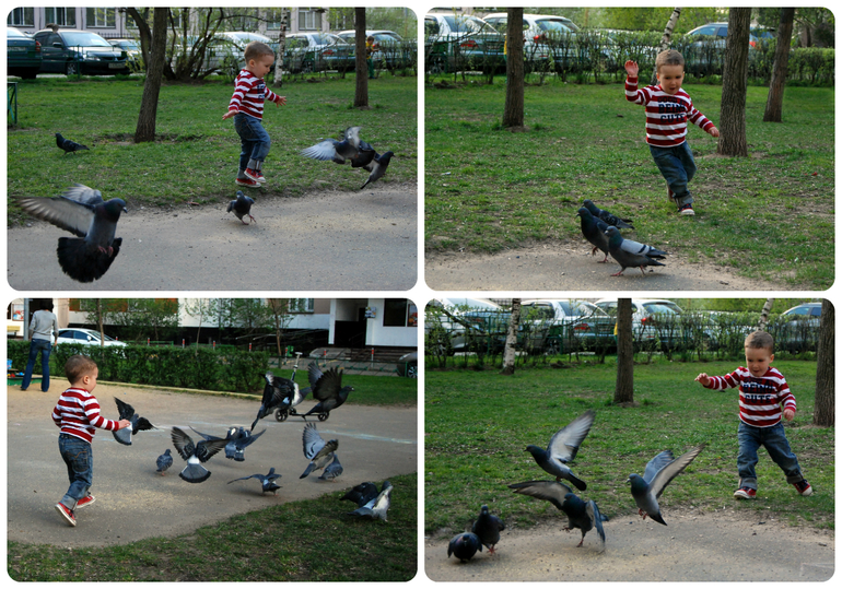 Аллергия, новая стрижка и прогулка