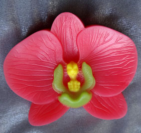 Нежная орхидея