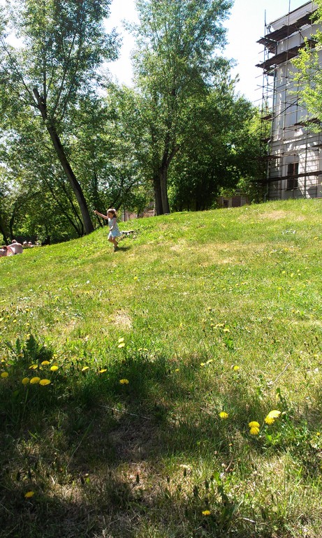 Мысли вслух