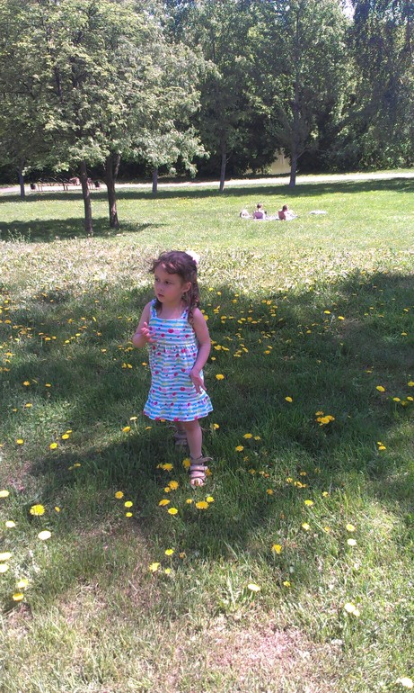 Мысли вслух