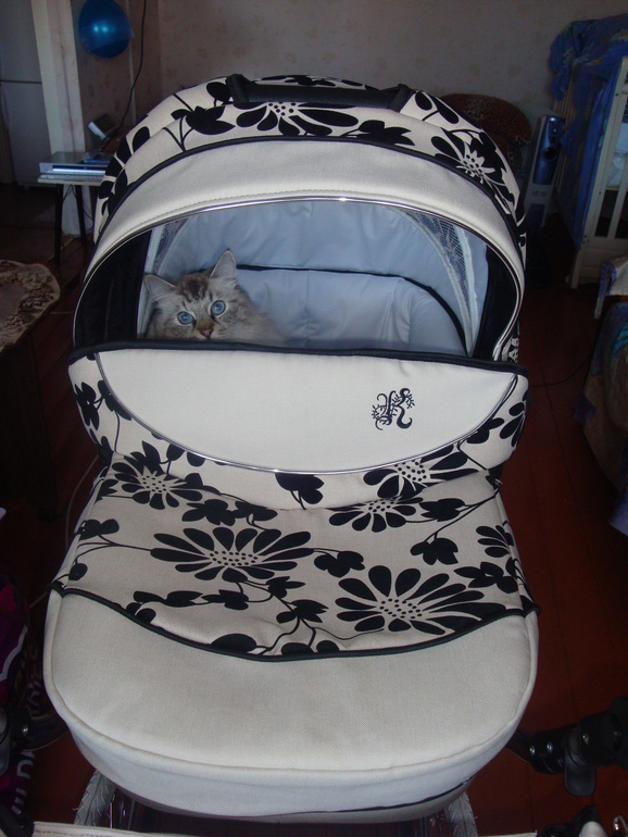 Наш детский уголок для ангелочка-сыночка !!!! Ждём с нетерпением его !!!