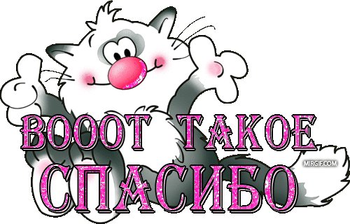 Мечты сбываются!!!