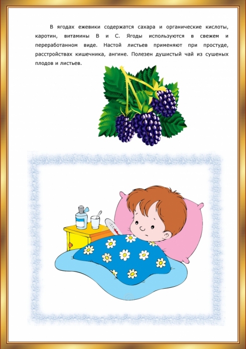 САДОВЫЕ ЯГОДЫ.