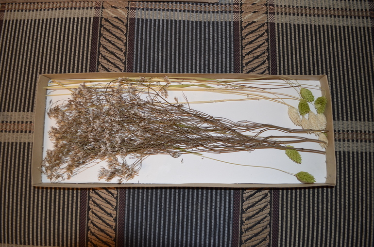 Мой запоздалый отчет!