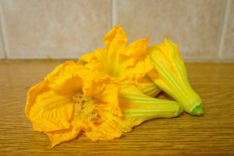 Баллада о фаршированных цветах Баллада о фаршированных цветах