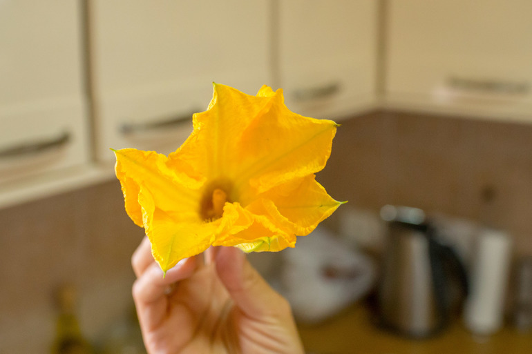 Баллада о фаршированных цветах Баллада о фаршированных цветах