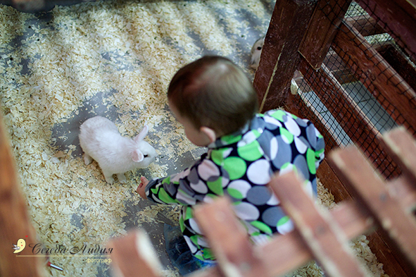 Контактный зоопарк