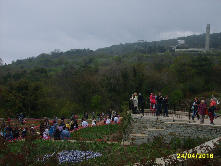 Никитинский ботанический сад.
