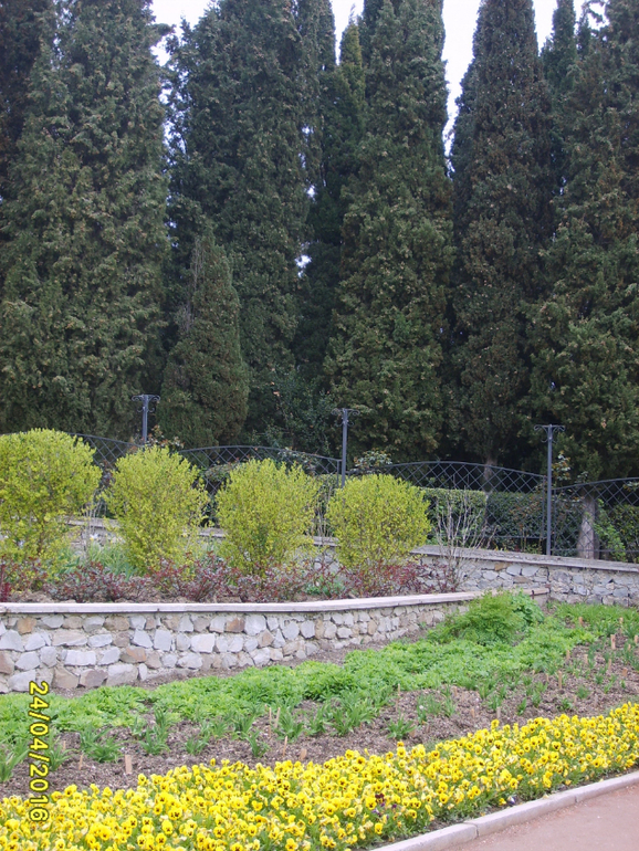 Никитинский ботанический сад.