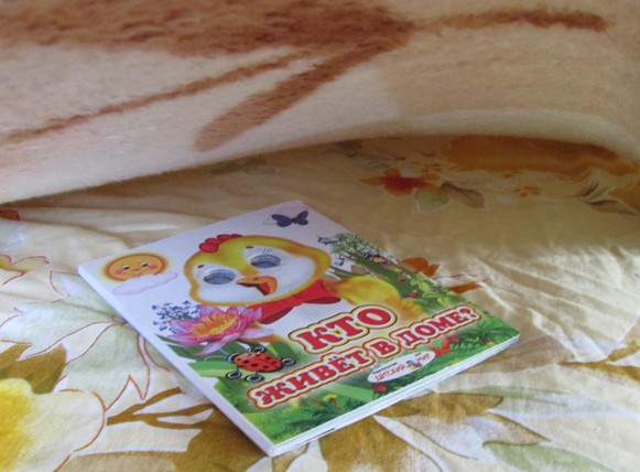 Цып-цып. Прятки+аппликация!