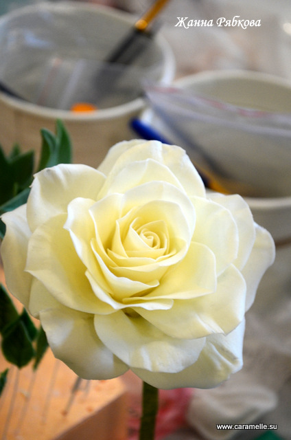 Фотоотчет с курсов по сахарным цветам в г. Уфа)))