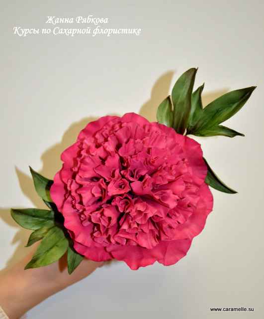 Отчет о прошедших курсах 28.02-02.03.2014 г.