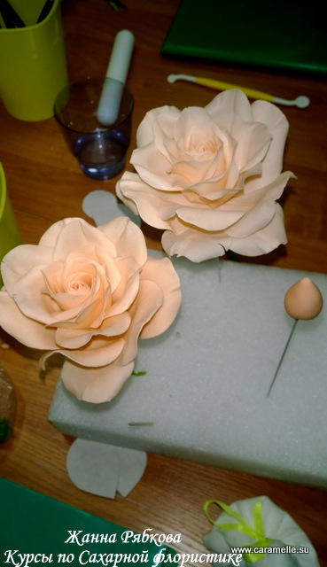 Отчет о прошедших курсах 28.02-02.03.2014 г.