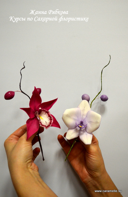 Отчет о прошедших курсах 28.02-02.03.2014 г.