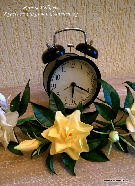 Небольшой фотоотчет о прошедшем курсе по Сахарной флористике