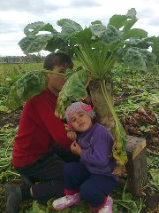 Весна приходит...