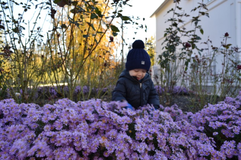 Чудесный денек!