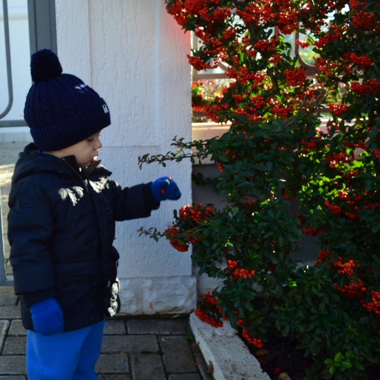 Чудесный денек!