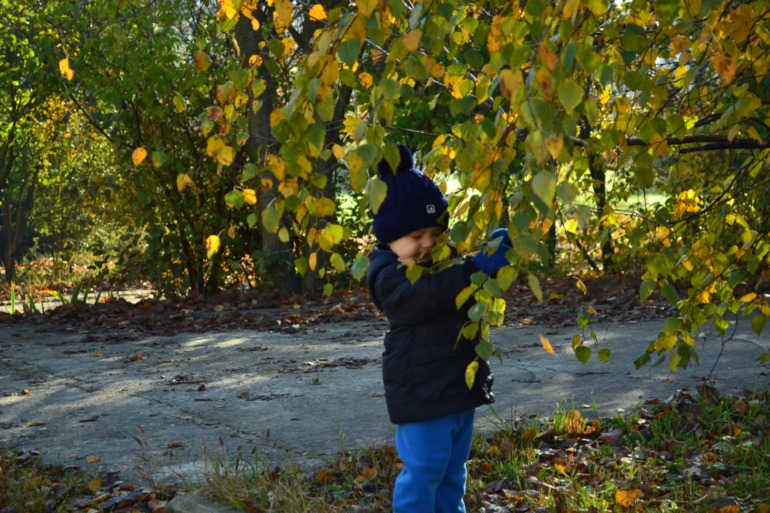 Чудесный денек!