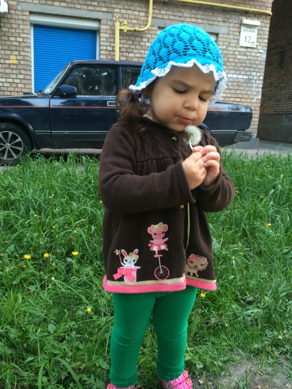 ТЗ Одуванчик полевой