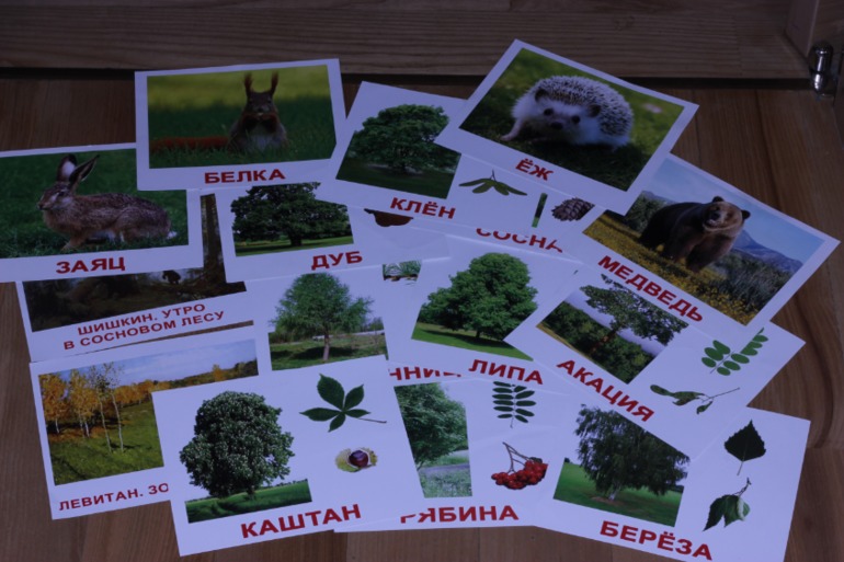 Подготовка к ТН