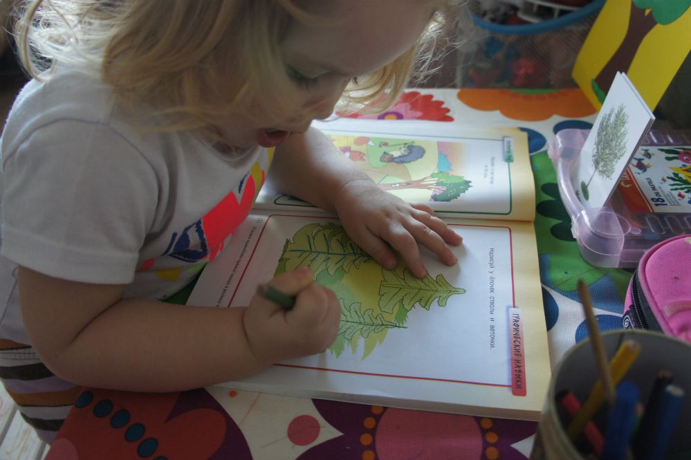 День 3 - Деревья весной