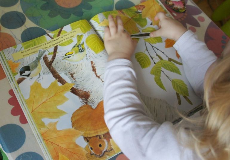 День 4. Здравствуйте птицы!