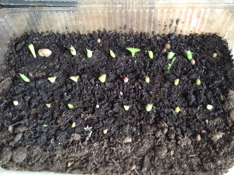 Насмотрелась