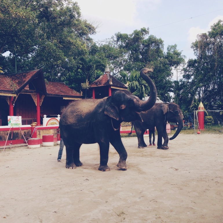 наша поездка в телефонной версии)