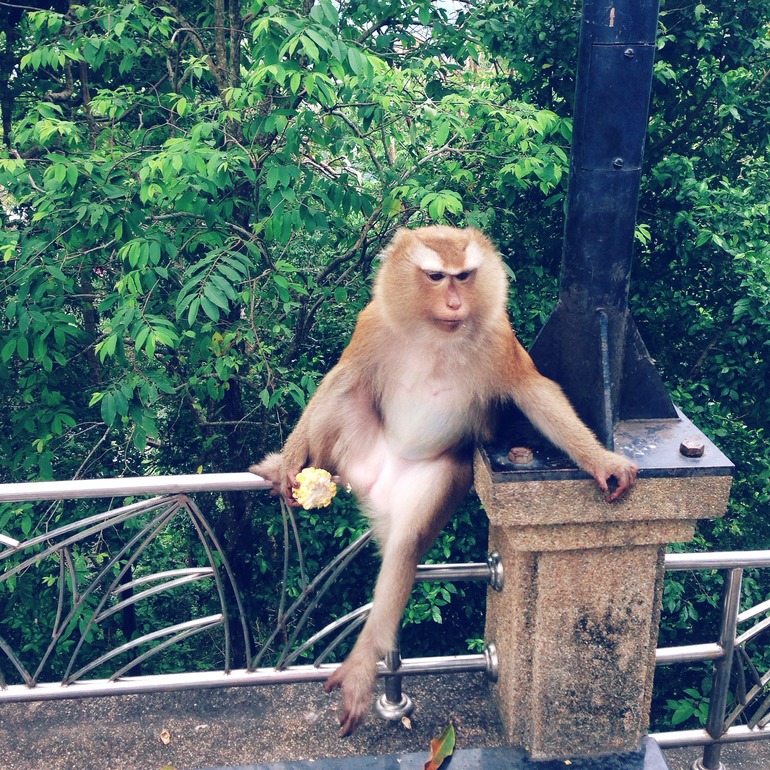 наша поездка в телефонной версии)