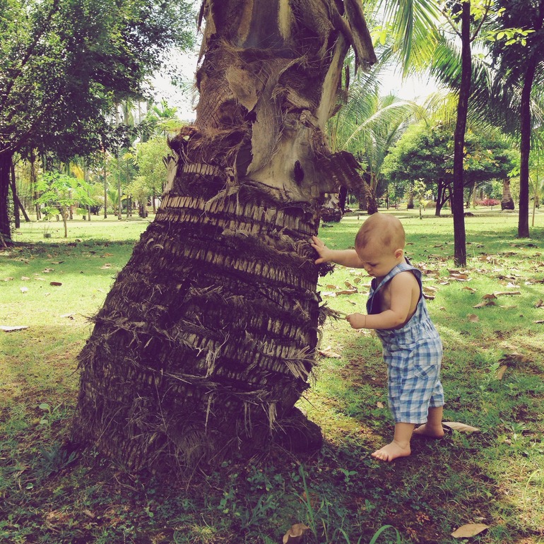 наша поездка в телефонной версии)
