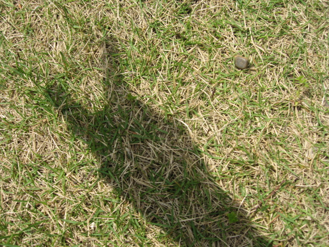 Художка. Рисуем  тени....