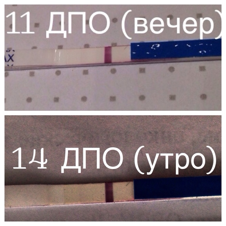 первый день задержки и 14 ДПО