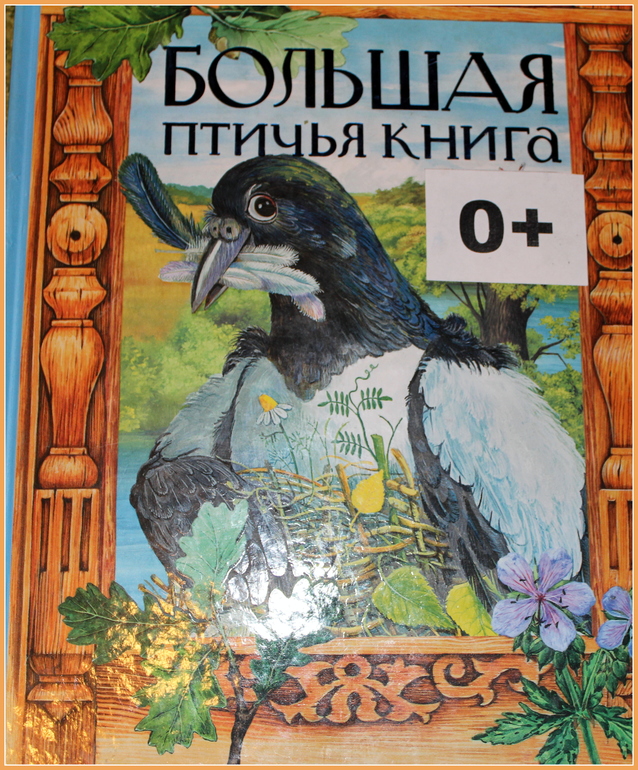 Наша птичья неделя