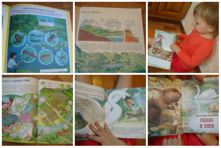 проект " По дороге с музыкой" ТЗ " Кто там прячется в пруду"