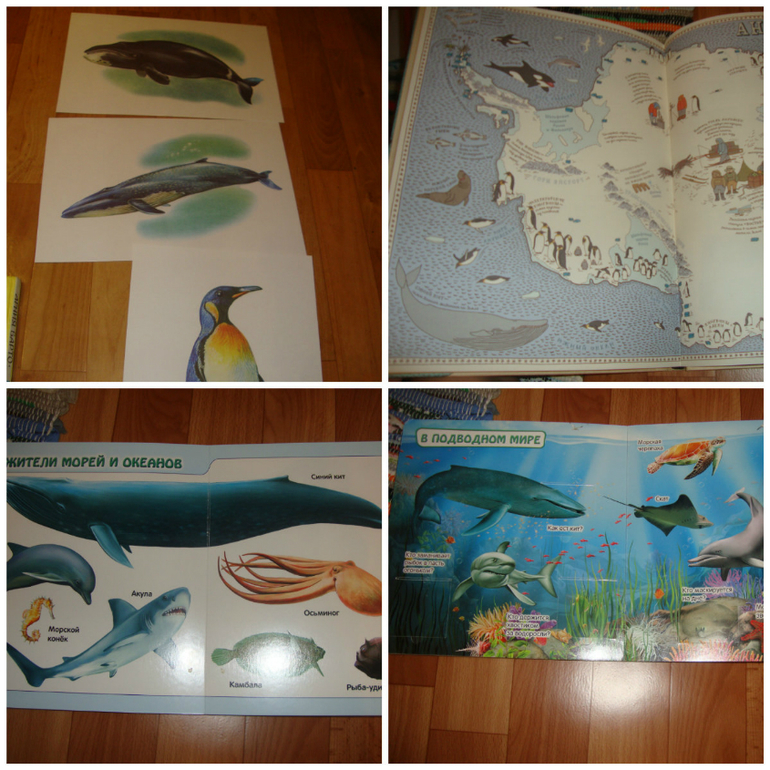 ТЗ "Улитка и Кит" (проект "Читаем и играем")