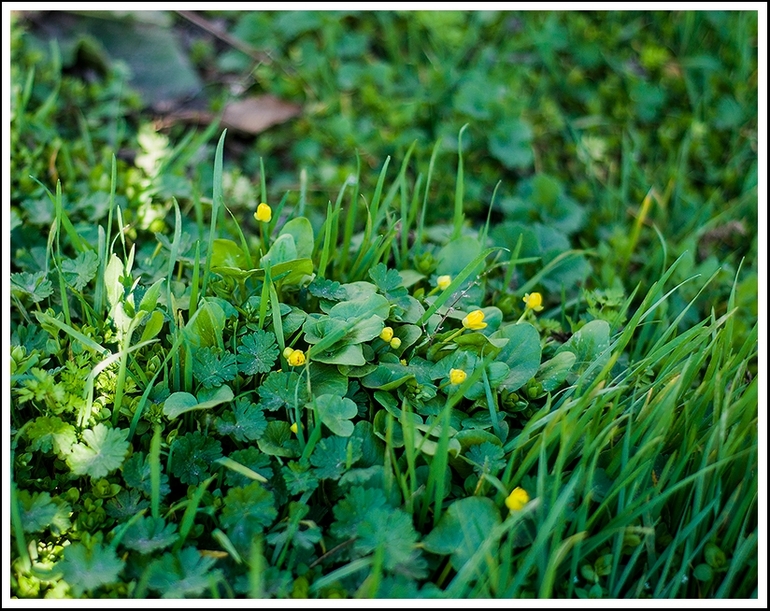 Останній день березня..