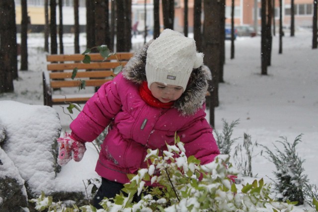 А у нас за окном зима)))