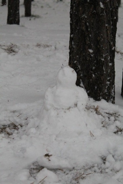 А у нас за окном зима)))